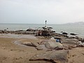 DSC04444.JPG