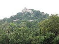 DSC04449.JPG