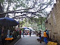 DSC04464.JPG