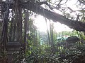 DSC04465.JPG