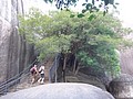 DSC04475.JPG