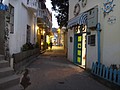 DSC04494.JPG