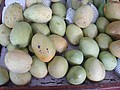 DSC04526.JPG