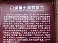 DSC04544.JPG