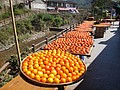 DSC04563.JPG