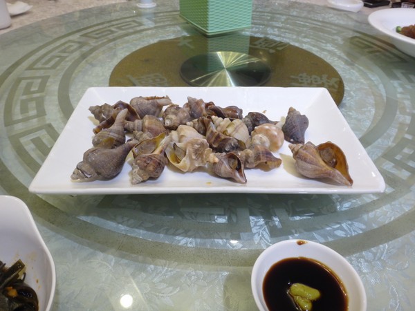 DSC04655.JPG