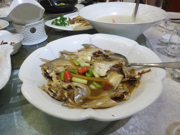 DSC04668.JPG