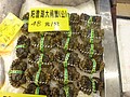 DSC04647.JPG