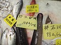 DSC04648.JPG