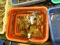 DSC04674.JPG