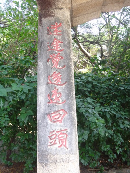 DSC04681.JPG
