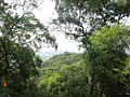 DSC04698.JPG