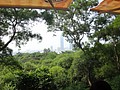 DSC04699.JPG