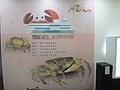 DSC04758.JPG