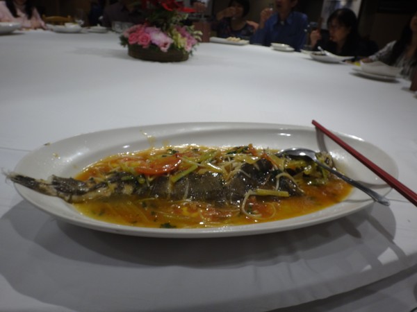 DSC04909.JPG