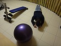 DSC04962.JPG
