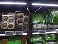 DSC04976.JPG