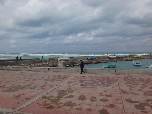 DSC05291.JPG