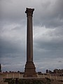 DSC05277.JPG