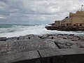 DSC05306.JPG
