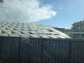 DSC05327.JPG
