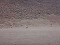 DSC05376.JPG