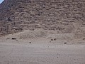 DSC05377.JPG