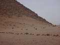 DSC05379.JPG