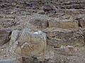 DSC05398.JPG