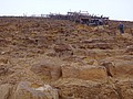 DSC05399.JPG