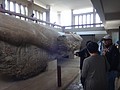 DSC05404.JPG
