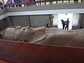 DSC05405.JPG