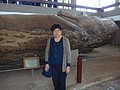 DSC05416.JPG