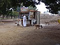DSC05419.JPG