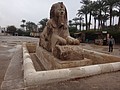 DSC05422.JPG