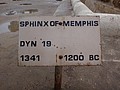 DSC05423.JPG