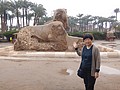 DSC05433.JPG