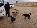 DSC05436.JPG