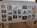DSC05468.JPG