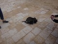 DSC05557.JPG