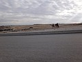 DSC05562.JPG