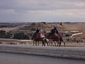 DSC05564.JPG