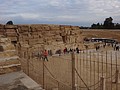 DSC05599.JPG
