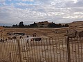 DSC05601.JPG
