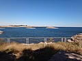 DSC05633.JPG