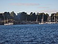 DSC05668.JPG