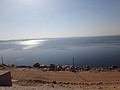 DSC05718.JPG