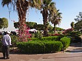 DSC05725.JPG