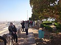 DSC05730.JPG