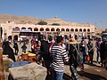 DSC05738.JPG